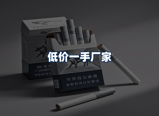 专业团队办公环境